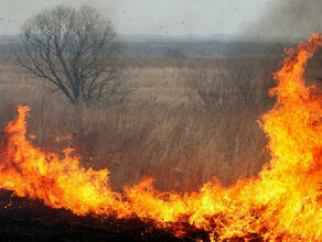 В Амурской области нарушителей пожарной безопасности оштрафовали почти на 800 тысяч рублей