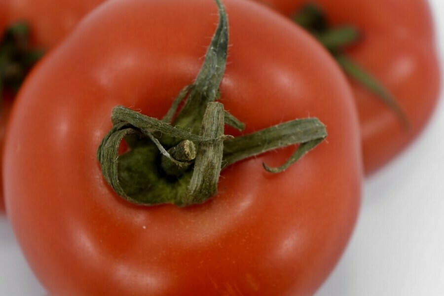 В Амурской области объяснили высокую стоимость помидоров  