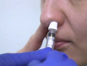 Теперь и через нос в Приамурье пришла первая партия специальных насадокраспылителей для вакцины от COVID19
