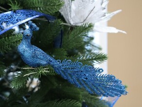 И птица счастья Амурская областная больница открыла новогодние фотозоны на здоровье пациентам