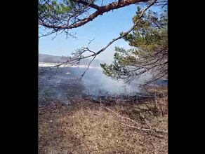 Два лесных пожара потушили в Амурской области за прошедшие сутки Причина  люди
