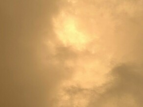 Снова грязный дождь и 20градусное тепло погода на текущей неделе в Приамурье обещает быть разной 