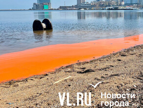 Море во Владивостоке заржавело фото