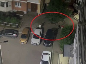 скриншот видео