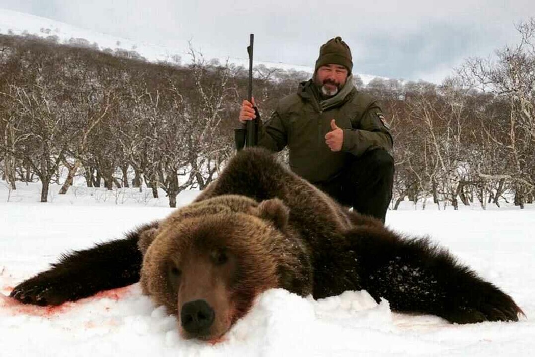 охота львов на медведей