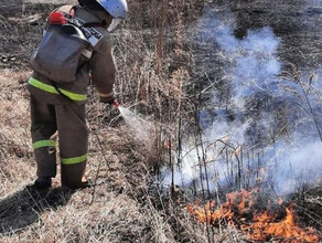 Горим 31 загорание сухой растительности зарегистрировано в Приамурье за сутки