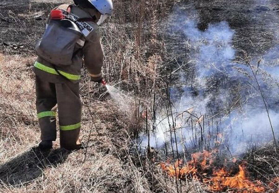 Горим 31 загорание сухой растительности зарегистрировано в Приамурье за сутки