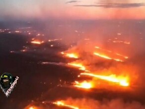 Возле Владимировки бушевал огромный пал Назван предполагаемый виновник видео