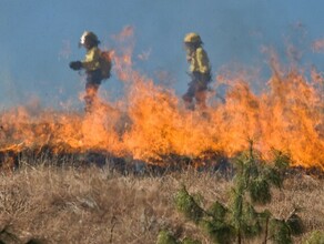 В Хинганском заповеднике пока не могут справиться с сильным природным пожаром Туда направлены дополнительные силы