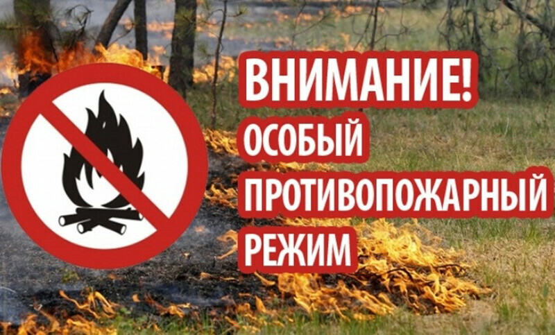 Еще в трех муниципальных образованиях Приамурья введён особый противопожарный режим 