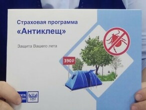 Амурчане стали чаще страховаться от укусов клещей на полмиллиона рублей