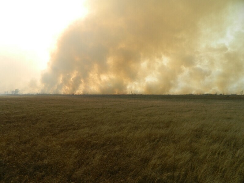 В Хинганском заповеднике потушили природный пожар бушевавший три дня