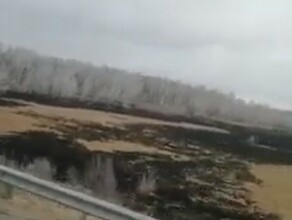 Бедный Дальний Восток Амурчанка запечатлела пепел на деревьях от ракеты видео