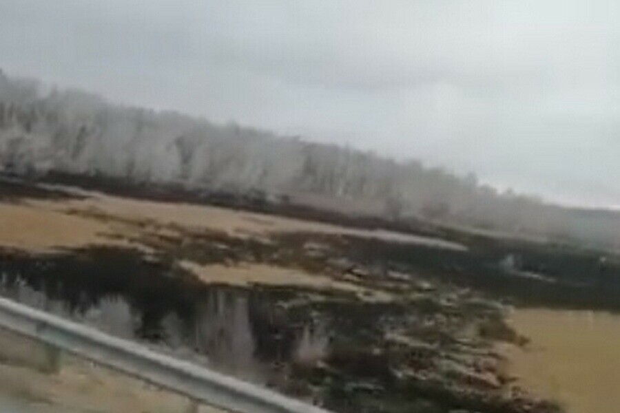 Бедный Дальний Восток Амурчанка запечатлела пепел на деревьях от ракеты видео