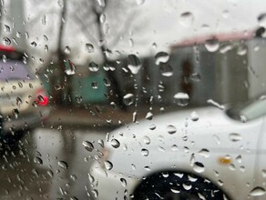 Нетипичная погода Приамурье накрыл обширный циклон на севере области декадная норма осадков превышена в 7 раз 