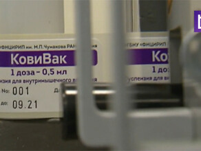 Первые партии вакцины КовиВак поступили в массовый оборот в России