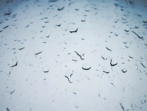 Дождливый март  оксюморон На Amurlife итоги нетипичного для Приамурья марта