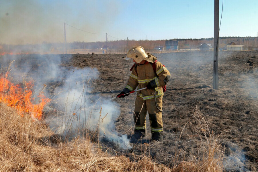 За прошедшие сутки в Амурской области зарегистрировано шесть очагов горения сухой растительности 