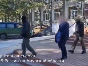  В Свободном задержали замглавы администрации Его подозревают в мошенничестве видео