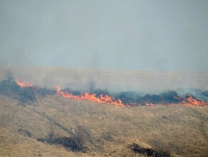 За сутки в Приамурье зафиксировали восемь очагов горения