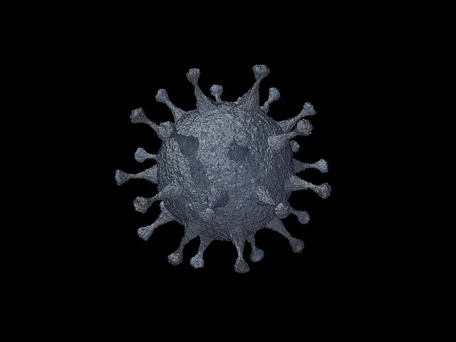 На аппарате ИВЛ в Амурской области находятся 14 больных коронавирусом