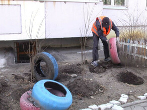 Благовещенцам рассказали как убрать покрышки во дворах