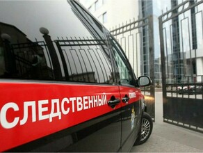 Задержан мужчина пристававший к шестилетней девочке видео