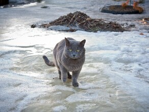 Амурские синоптики объяснили почему в Приамурье так холодно последние несколько дней Когда потеплеет