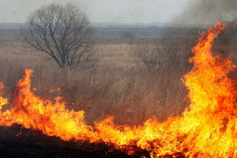 В Амурской области девять пожарных машин тушили палы