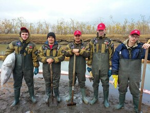 Желание помогать людям волонтёры рассказали почему участвуют в праймериз ЕР