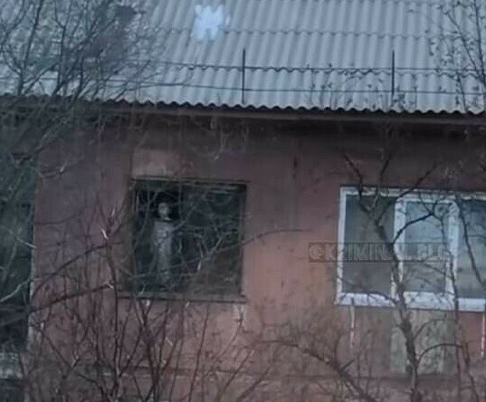 В Благовещенске после истории с 4летней девочкой стоявшей в окне 5го этажа проверят действия органов опеки