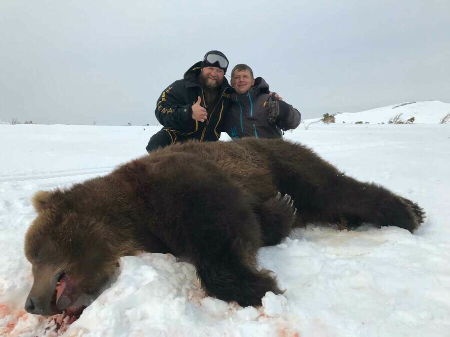 Иностранцев зовут на Камчатку застрелить медведя за 100 000 долларов