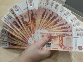 На новую меру поддержки многодетных семей в Амурской области выделено свыше 9 миллионов рублей