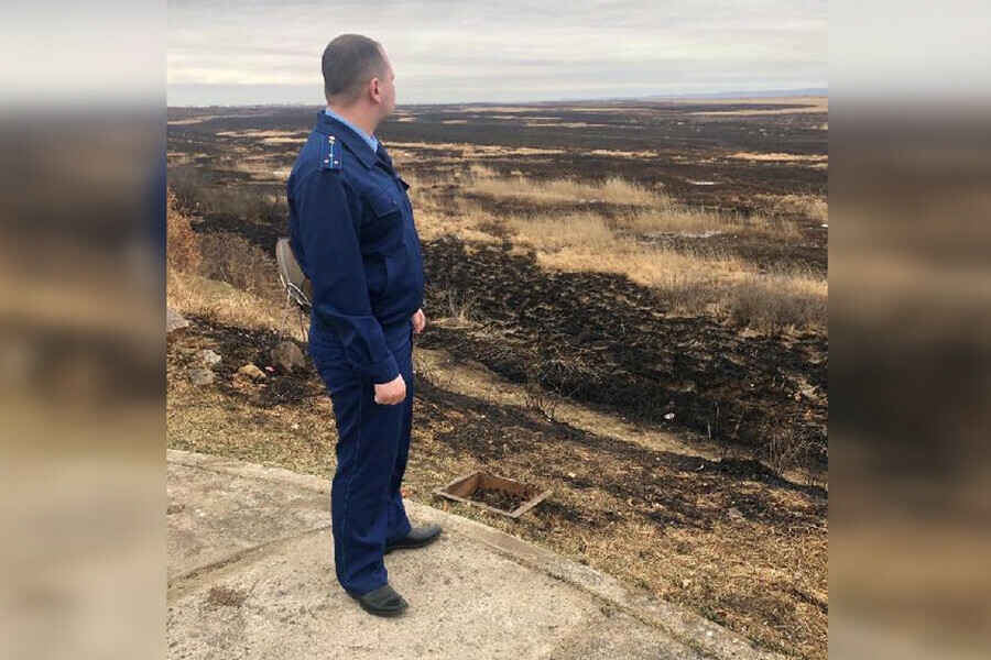 В Муравьевском парке Амурской области палом выжгло более 250 га Проверку проводит прокуратура