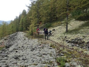 Новый турмаршрут разрабатывают в Амурской области