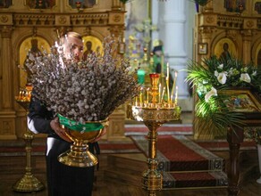 В храмах Амурской области встречают Вербное воскресенье