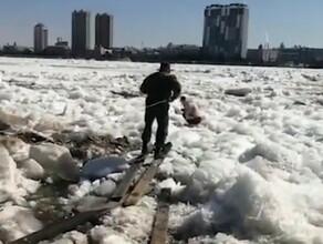 На Амуре в Благовещенске едва не произошел несчастный случай с невменяемой иностранкой видео