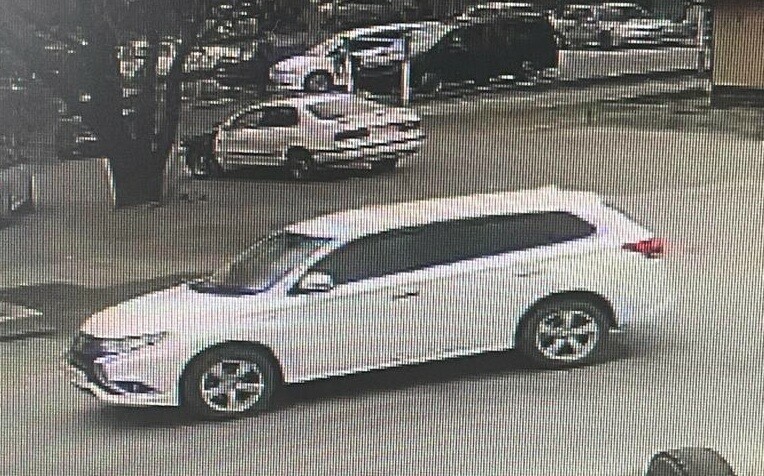 В Благовещенске объявлен в розыск автомобилист который задавил собаку и скрылся Что рассказывает хозяйка животного