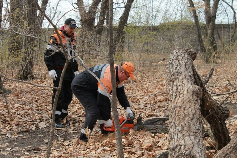 17 кубометров веток благовещенская организация помогла навести порядок в Первомайском парке фото