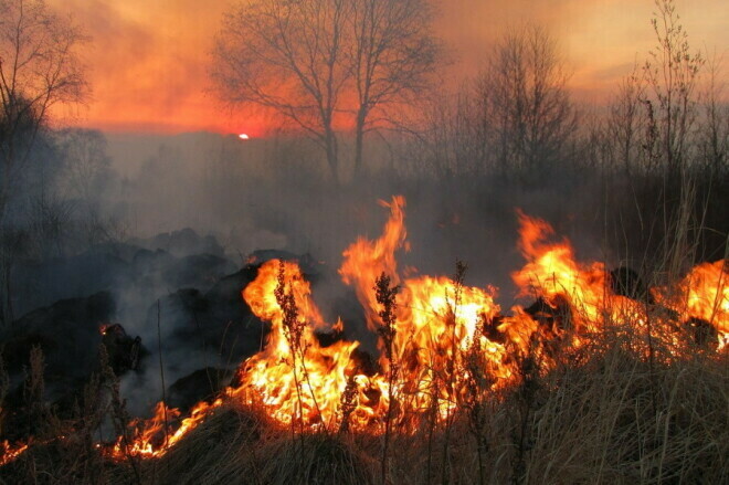 В Амурской области палы тушили 53 пожарные машины 