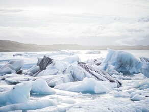 Бесплатный гектар можно будет получить в Арктике 