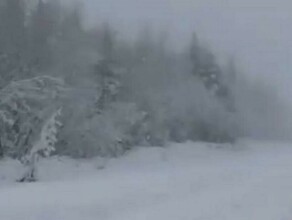 На севере Приамурья выпал снег Когда ждать потепления видео