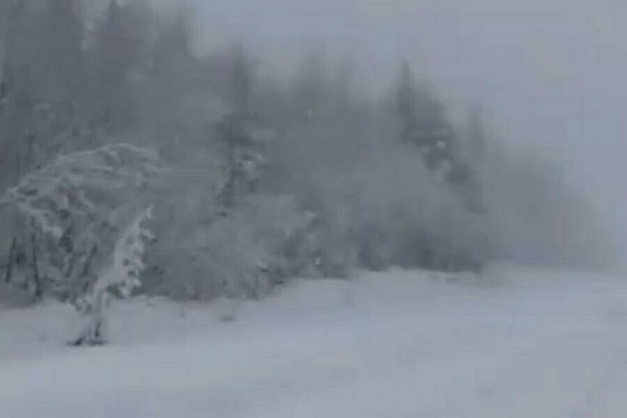 На севере Приамурья выпал снег Когда ждать потепления видео