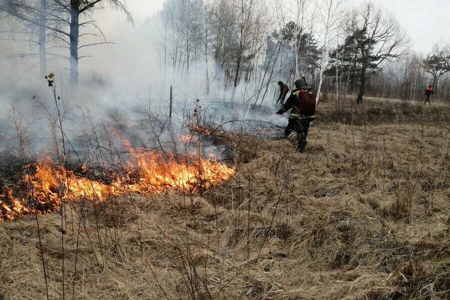 В Приамурье за сутки ликвидировали 14 очагов горения