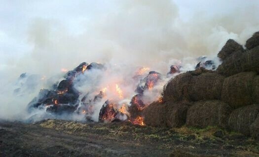 Ночной пожар в Тамбовке уничтожил запасы сена