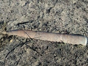 В Приамурье уже неделю охраняют найденные боевые снаряды Когда полностью уничтожат опасную находку