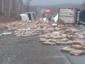 На севере Приамурья перевернулся грузовик с рыбой Есть пострадавший видео