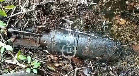 Амурчанин нашел в своем огороде боеприпас видео