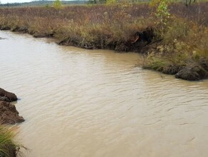 Золотодобытчиков вновь оштрафовали на крупную сумму за загрязнение ручья