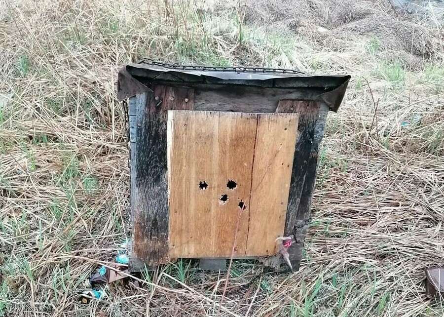 В Благовещенском районе неизвестные вывезли собак в будке и расстреляли фото